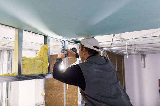 Best Types of Insulation in River Ridge, FL